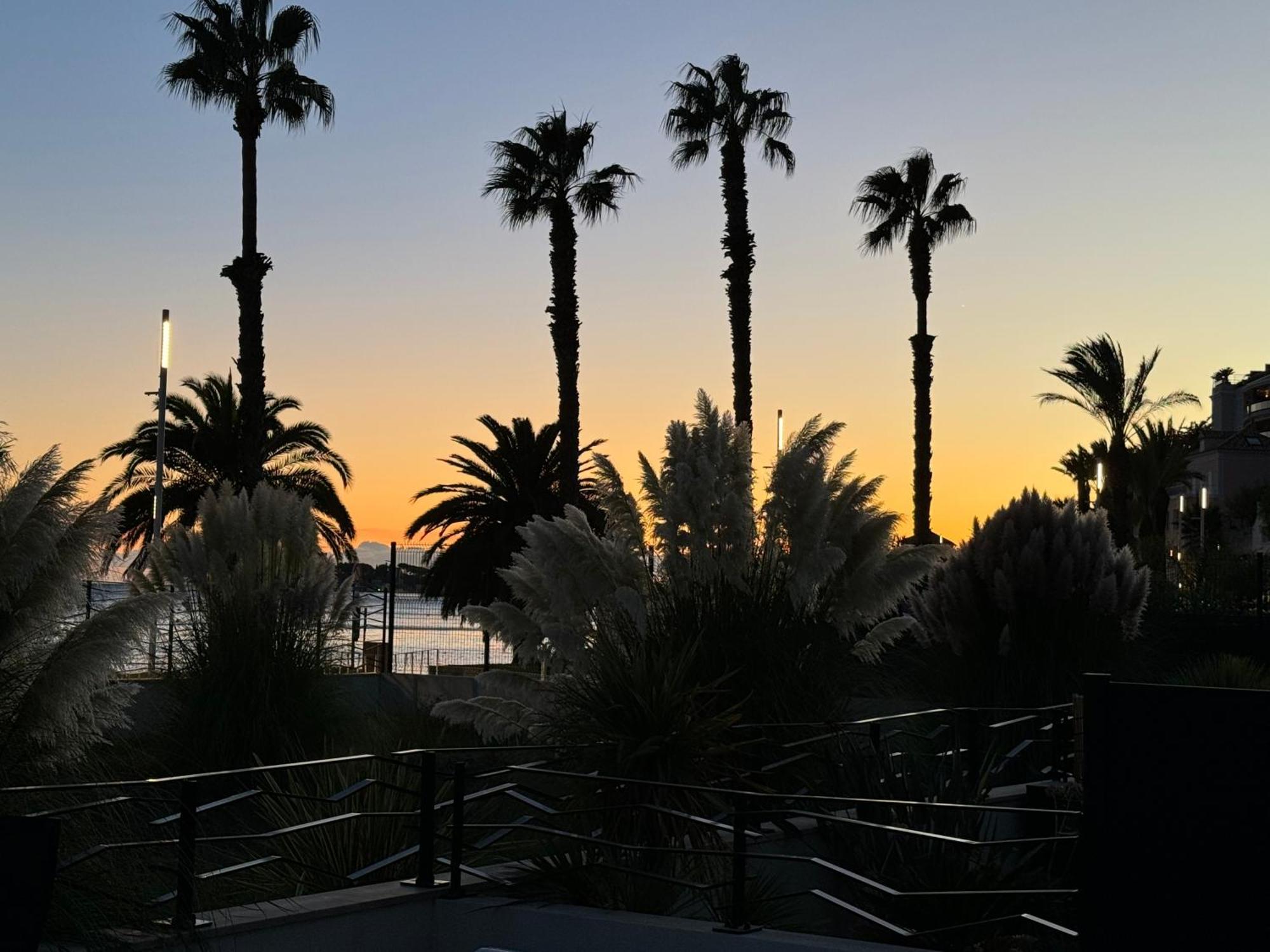 T3 Neuf Avec Terrasse Et Jardin Face A La Mer バンドール エクステリア 写真
